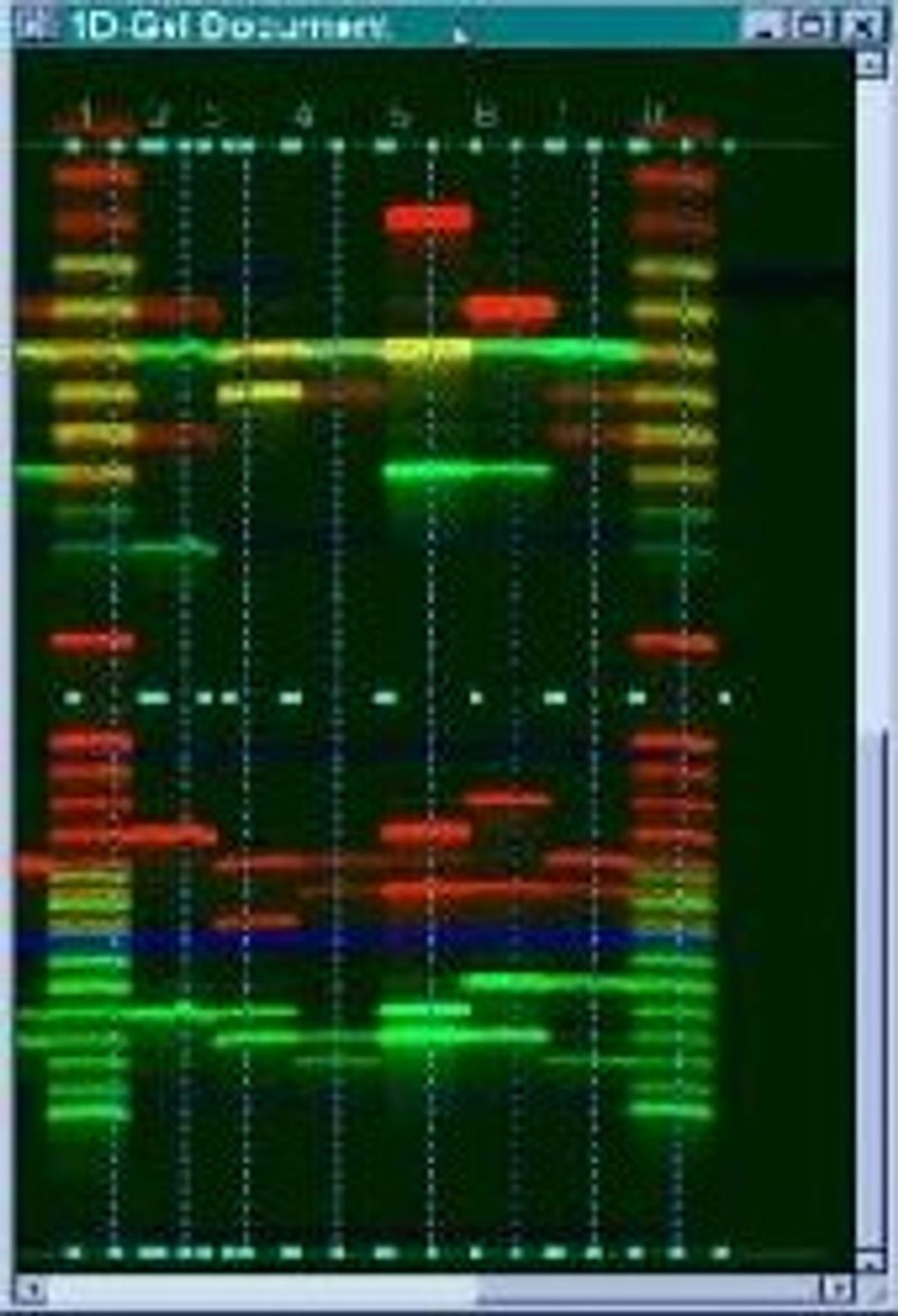 Image Analysis - Hitachi Software Engineering Europe S.A. - Life Sciences