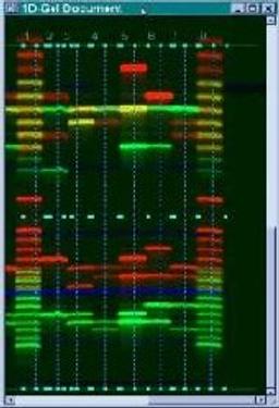 Image Analysis - Hitachi Software Engineering Europe S.A. - Life Sciences