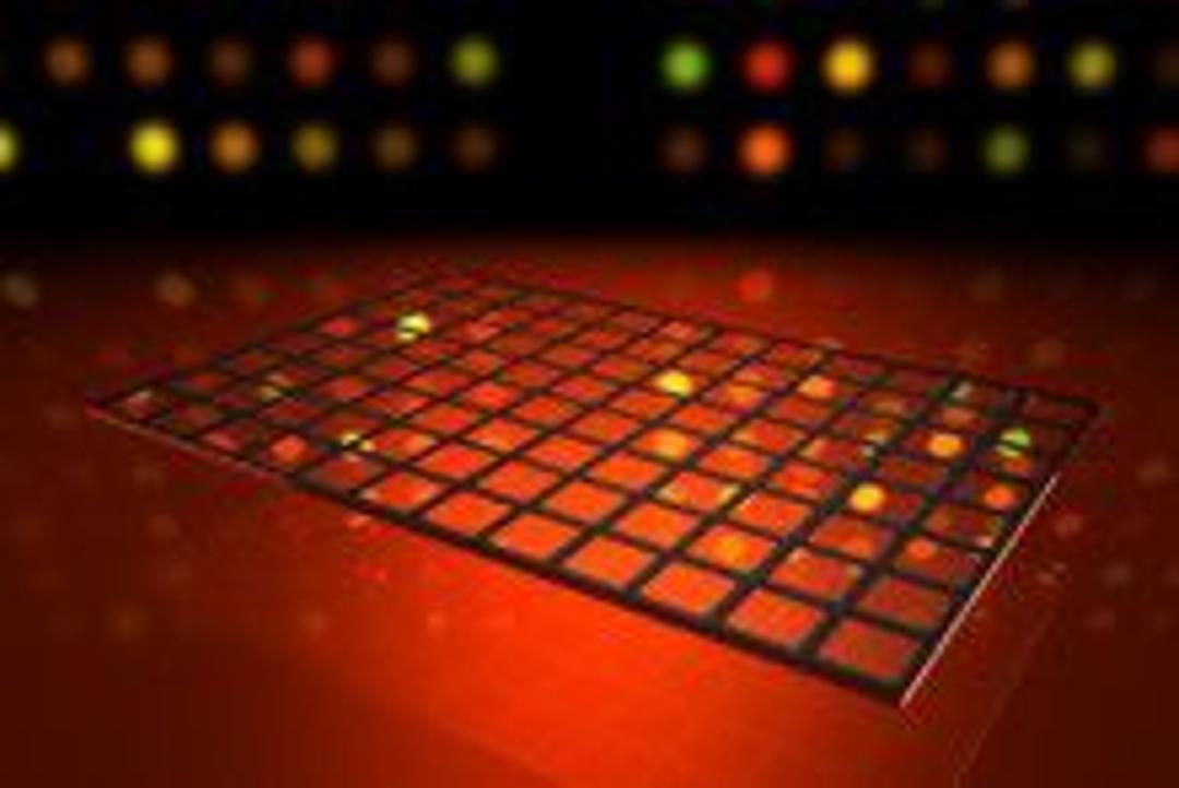 Nexterion® multi-well plates - SCHOTT Technical Glass Solutions GmbH - Drug discovery > Target Discovery