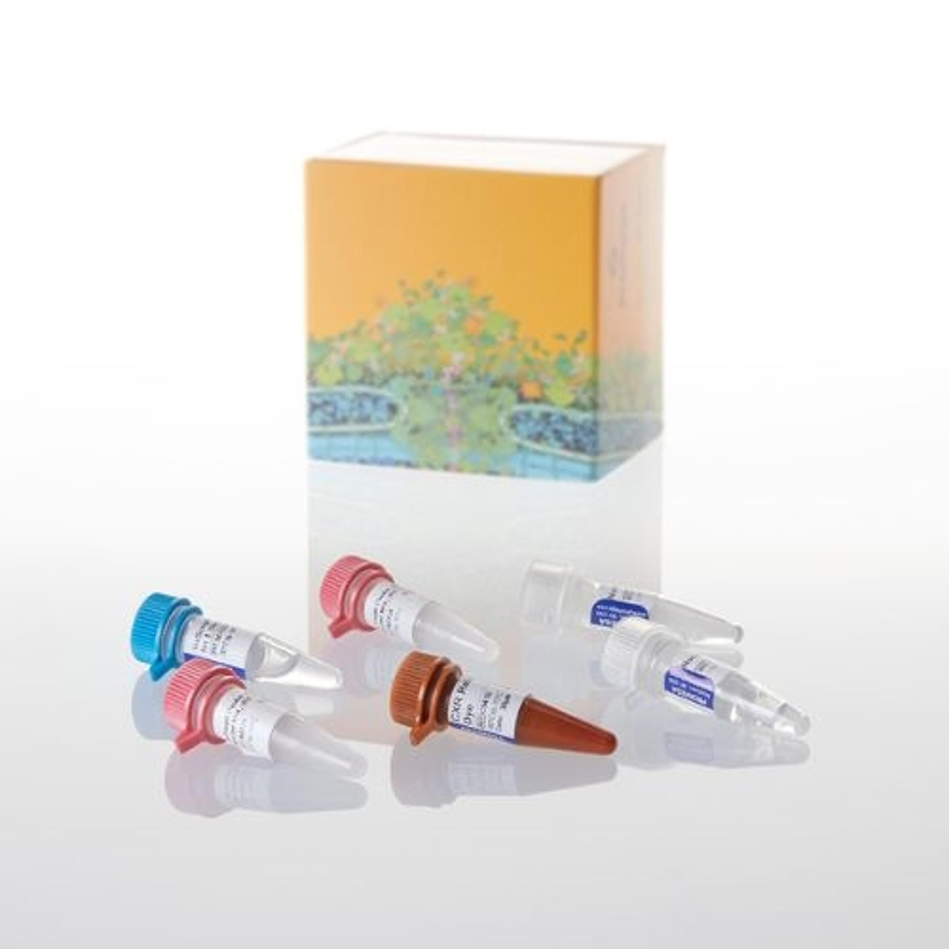 GoTaq® Probe 1-Step RT-qPCR System - Promega Corp. - Life Sciences