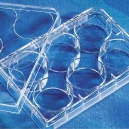 Costar® 6-Well Clear Flat Bottom Ultra-Low Attachment Plates - Corning Life Sciences - Life Sciences