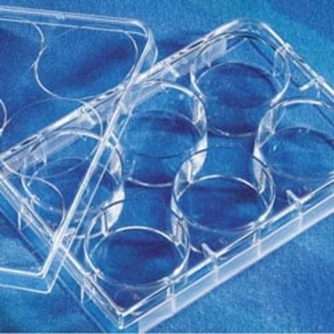 Costar® 6-Well Clear Flat Bottom Ultra-Low Attachment Plates - Corning Life Sciences - Life Sciences
