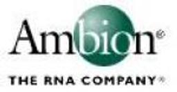 MessageAmp™ II aRNA Amplification Kits - Ambion Inc - Life Sciences