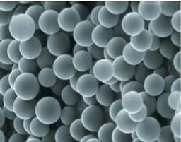 Kromasil Classic - Akzo Nobel/ Eka Chemicals - Separations