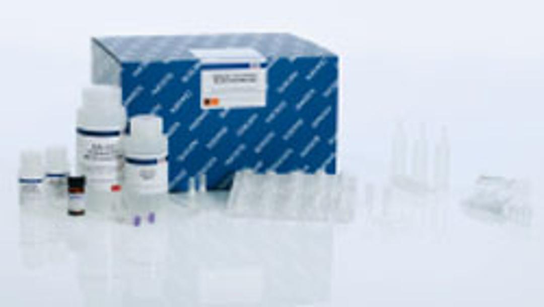 QIAamp Circulating Nucleic Acid Kit (50) - QIAGEN