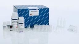 QIAamp Circulating Nucleic Acid Kit (50) - QIAGEN
