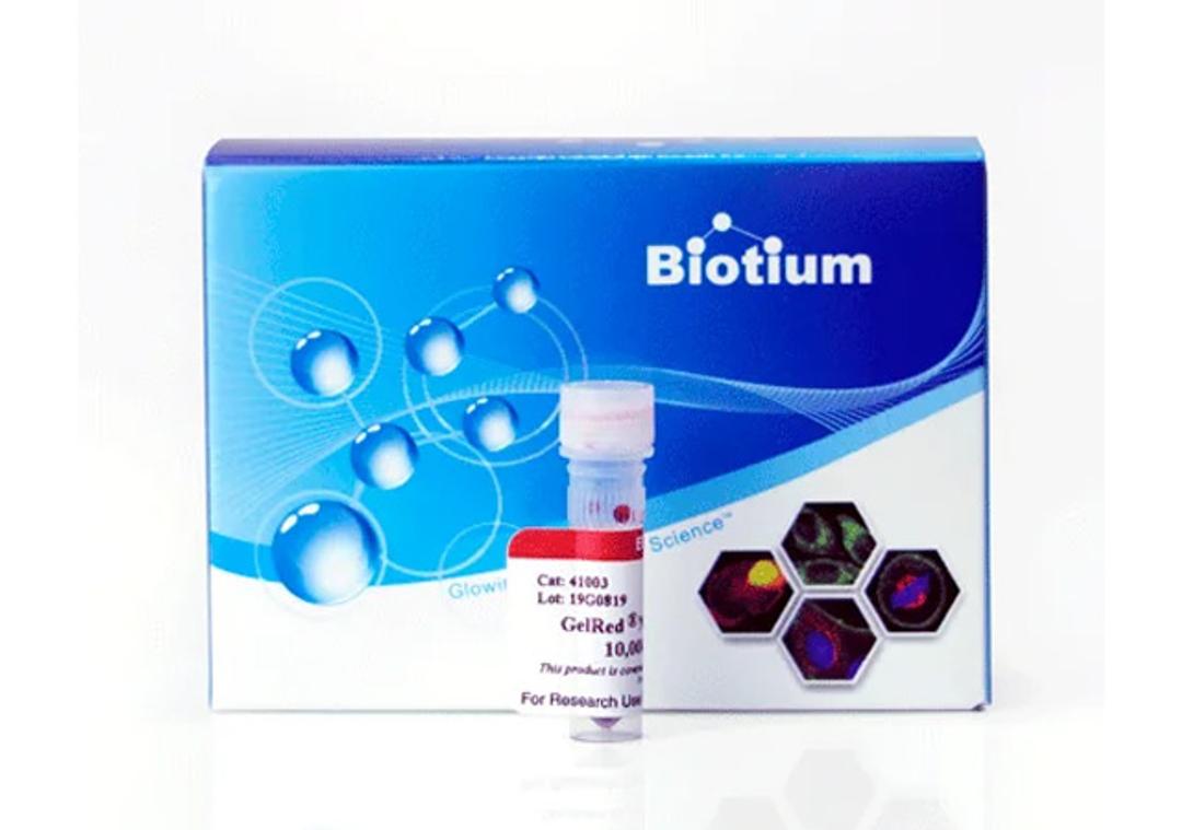 GelRed® Nucleic Acid Gel Stain - Biotium - Life Sciences