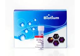 GelRed® Nucleic Acid Gel Stain - Biotium - Life Sciences