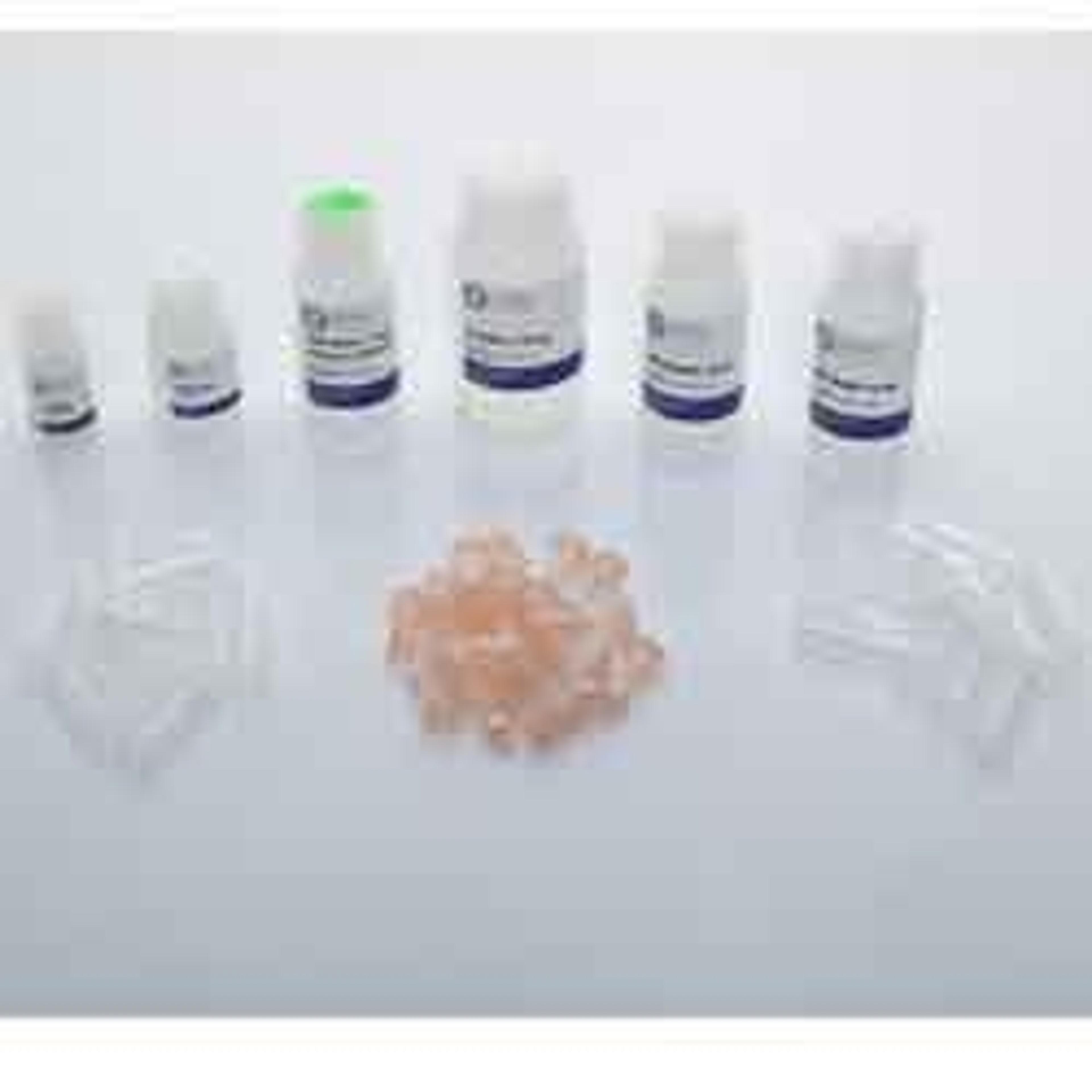 Yeast RNA Kit - OMNI International Inc. - Life Sciences