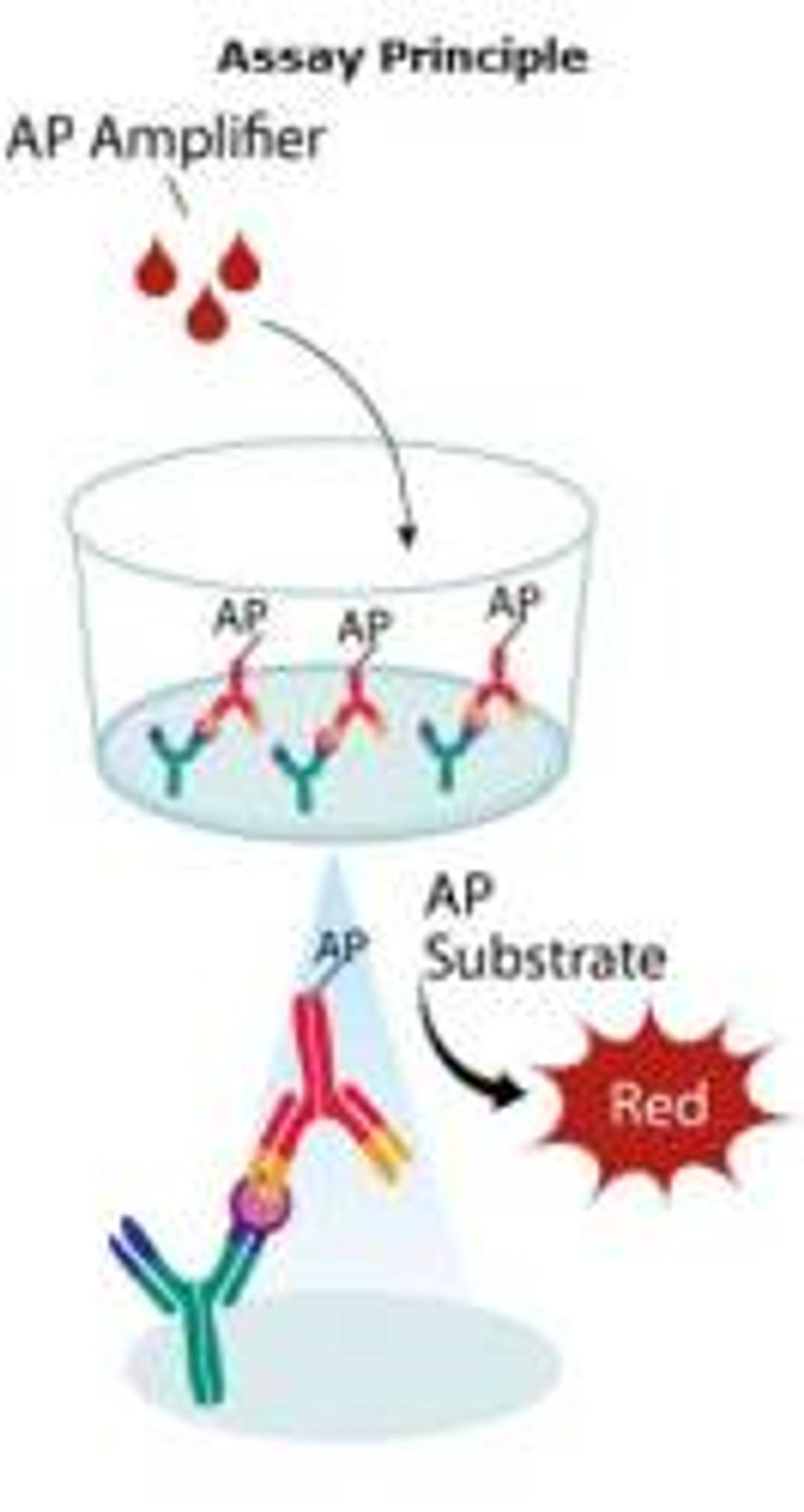 Human IL-6 Quantikine HS ELISA Kit - Bio-Techne - Life Sciences