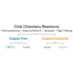 IRDye Click Chemistry Reagents - LICORbio - Life Sciences