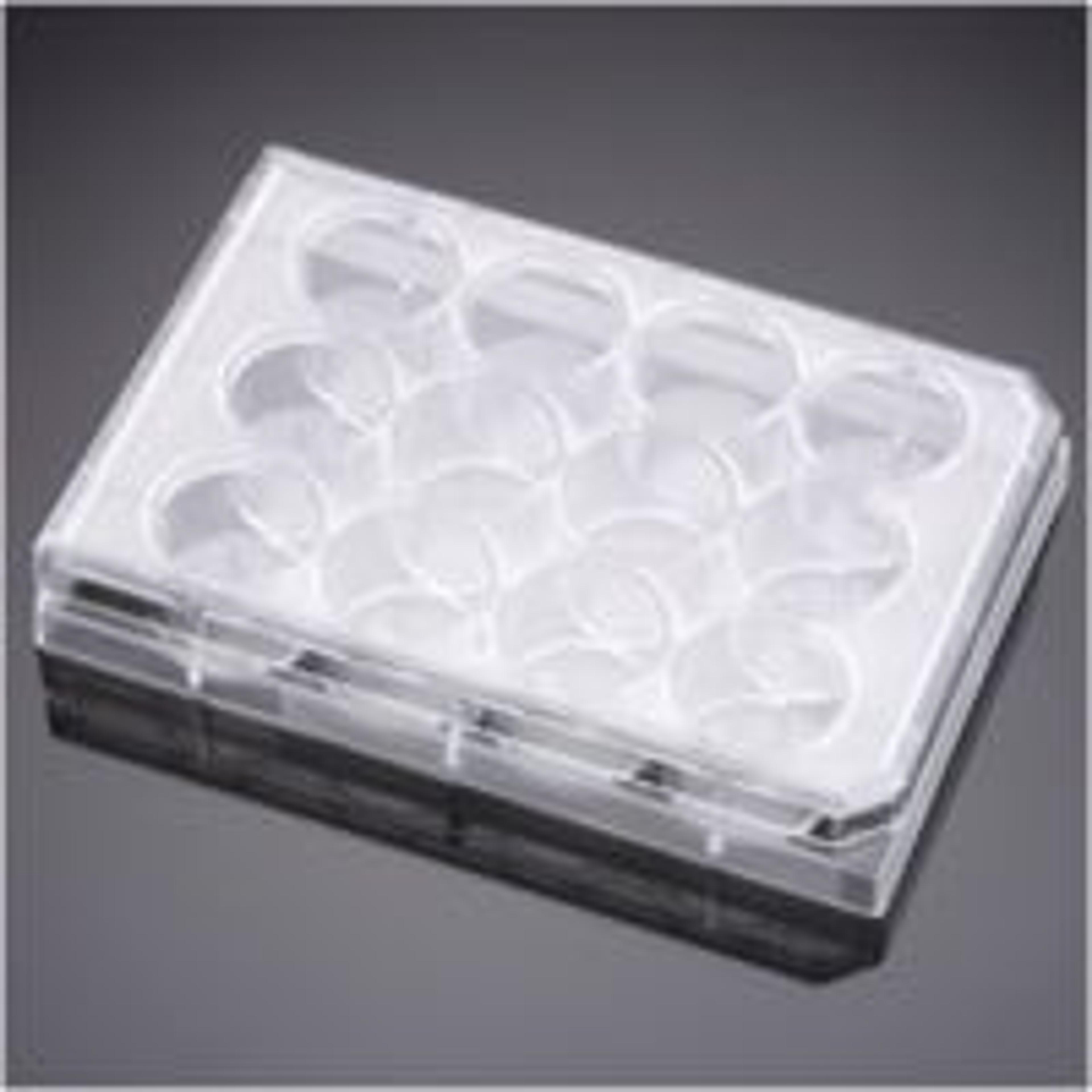 Falcon® 12-well TC-treated Polystyrene Permeable Support Companion Plate, with Lid, Sterile, 1/Pack, 50/Case - Corning Life Sciences - Life Sciences
