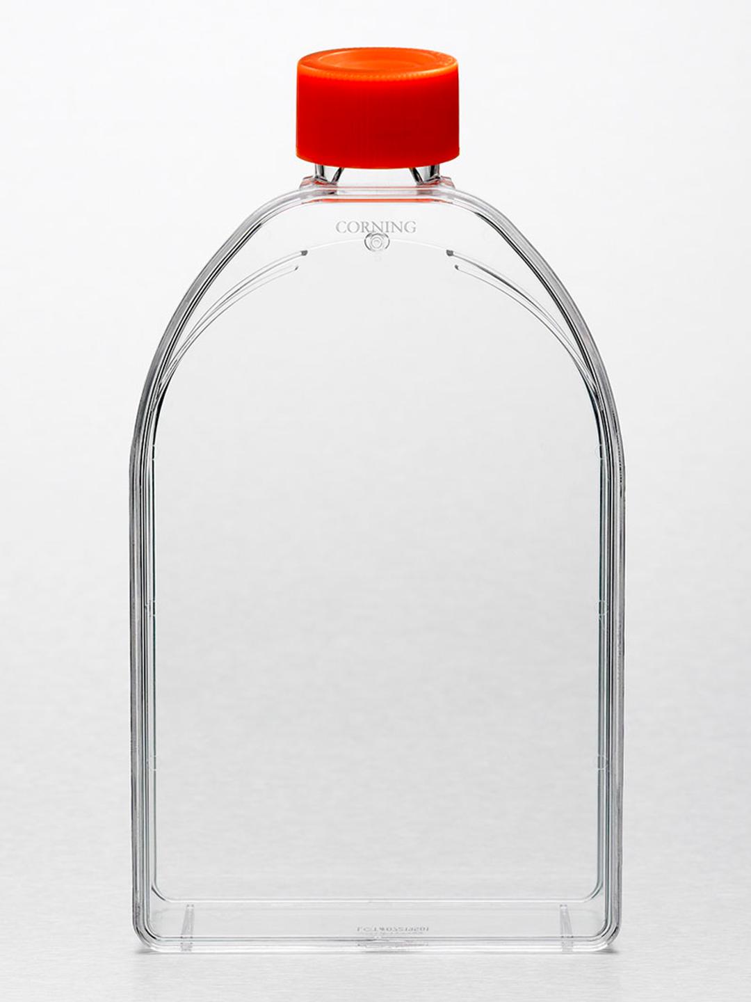 Corning® 150cm² U-Shaped Canted Neck Cell Culture Flask with Plug Seal Cap - Corning Life Sciences