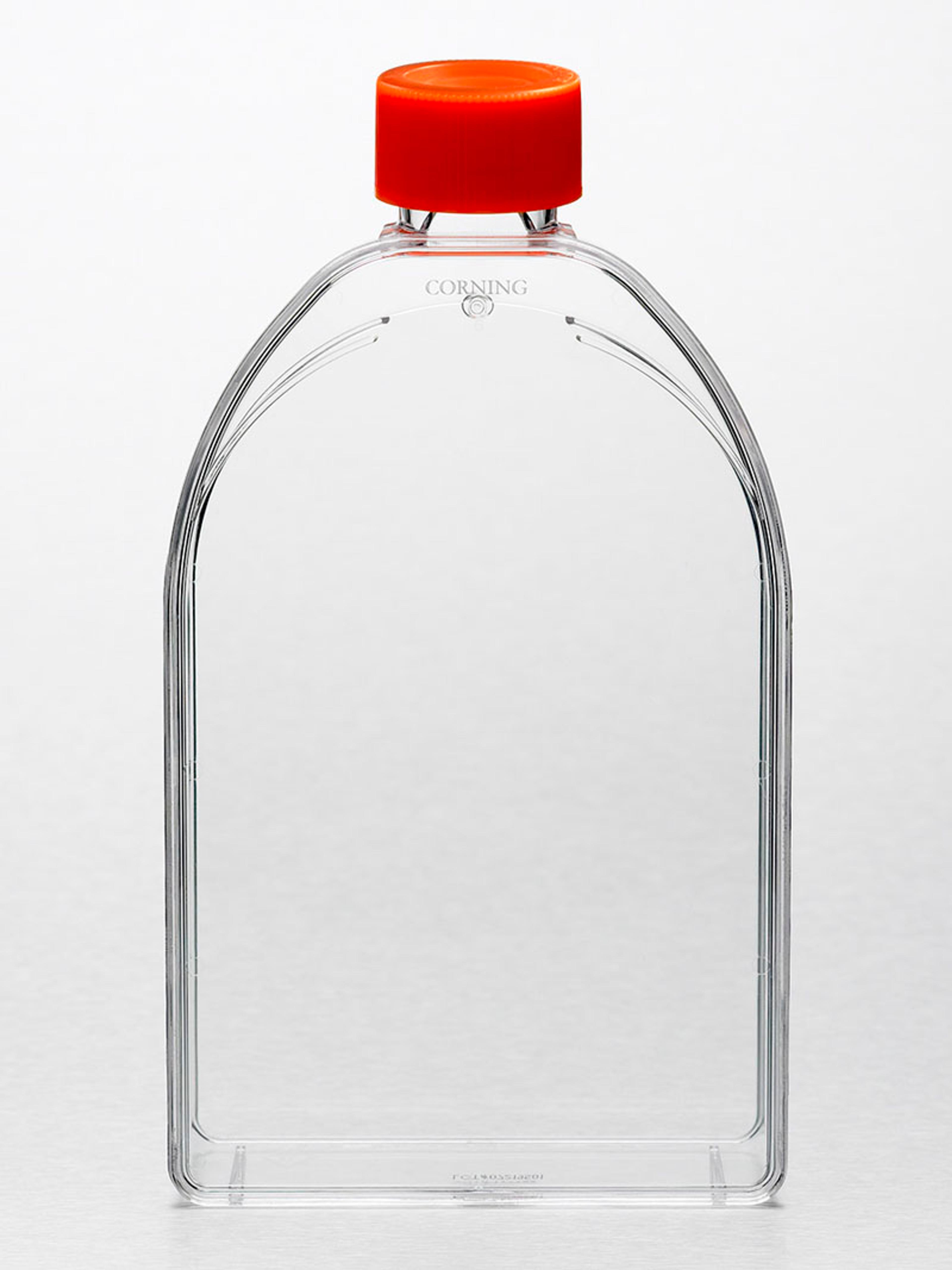Corning® 150cm² U-Shaped Canted Neck Cell Culture Flask with Plug Seal Cap - Corning Life Sciences