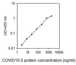 COVID-19 Spike Protein ELISA - RayBiotech Inc. - Life Sciences
