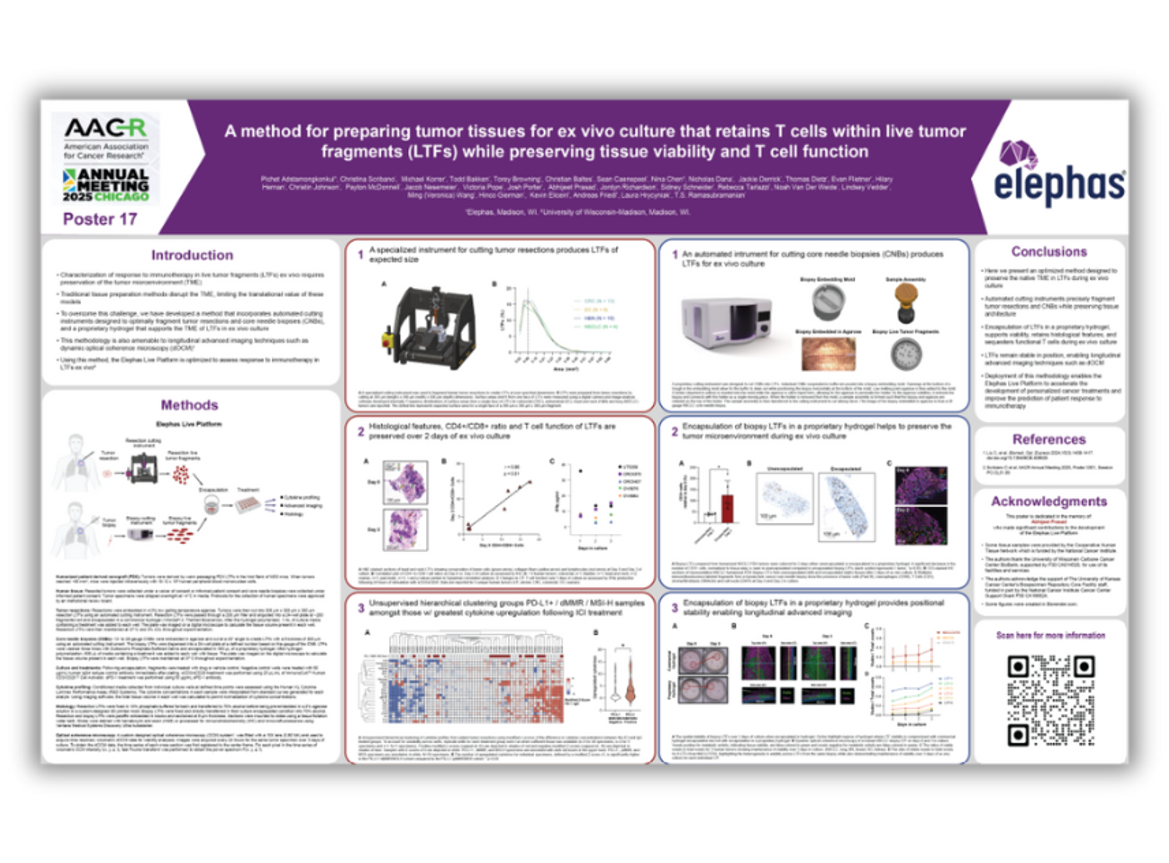 A method for preparing tumor tissues for ex vivo culture that retains T cells within live tumor fragments (LTFs) while preserving tissue viability and T cell function 
