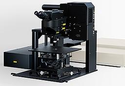 FVMPE-RS Multiphoton System - Two New Frames for Live Cell and In-Vivo Imaging - EVIDENT - Life Sciences