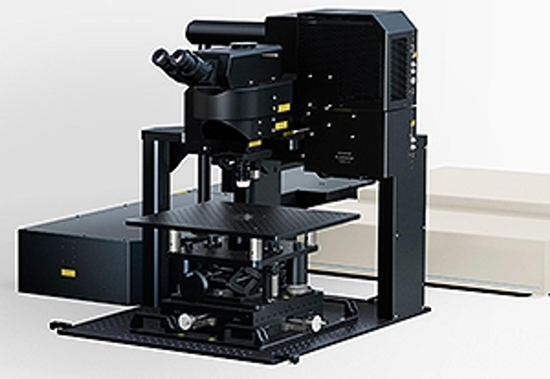 FVMPE-RS Multiphoton System - Two New Frames for Live Cell and In-Vivo Imaging - EVIDENT - Life Sciences