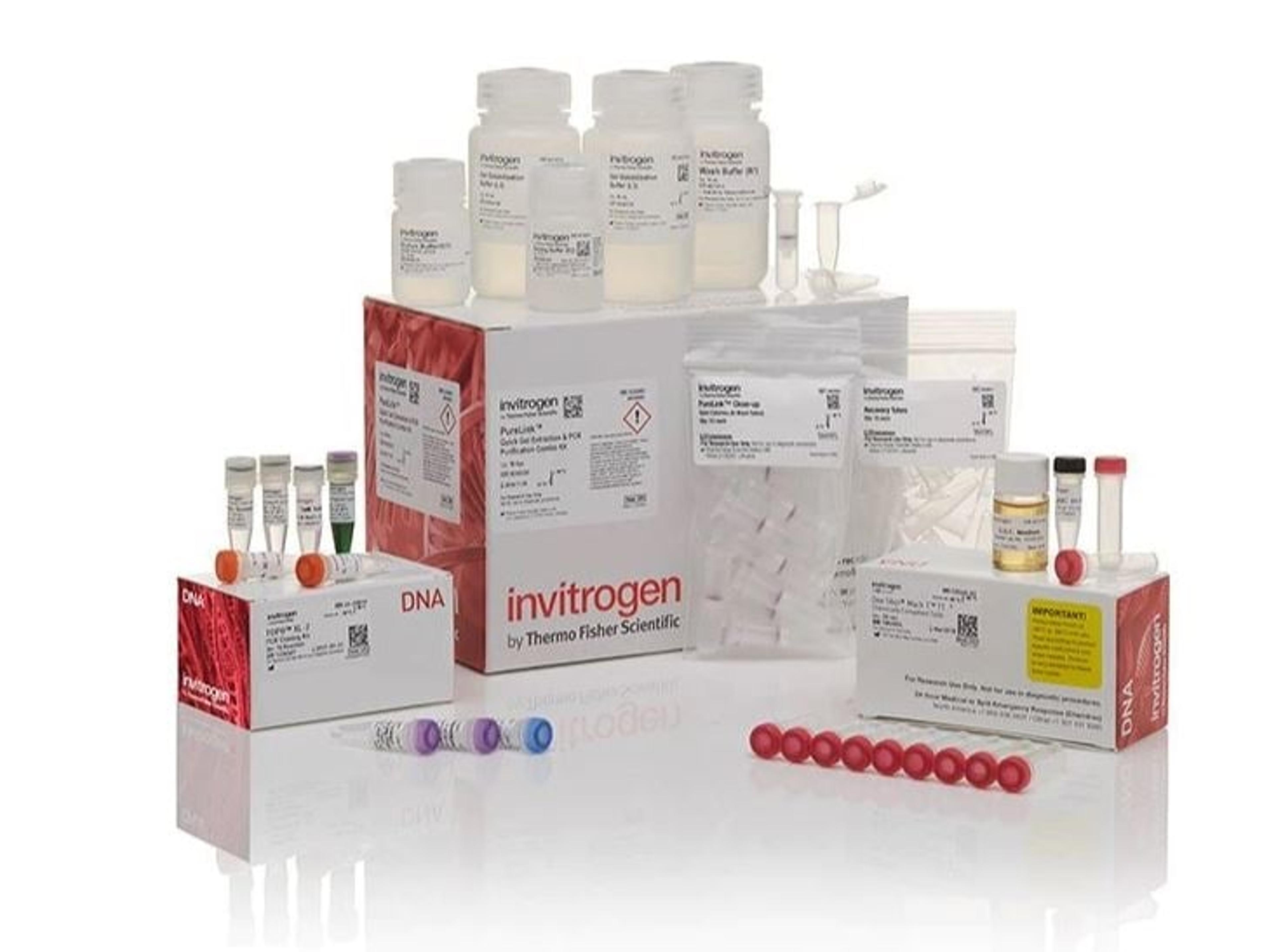 TOPO™ XL-2 Complete PCR Cloning Kit, with One Shot™ OmniMAX™ 2 T1R Chemically Competent E. coli Cells - Thermo Fisher Scientific - Life Sciences