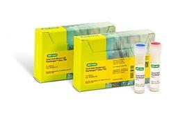 StarBright™ Blue 700 Fluorescent Secondary Antibodies - Bio-Rad - Life Sciences