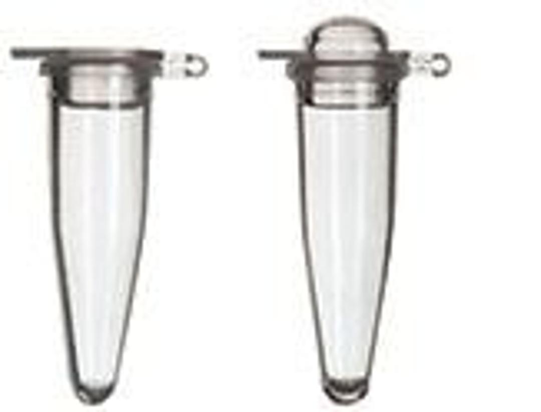 Thermo Scientific 0.2ml PCR Tubes - Thermo Fisher Scientific - Life Sciences