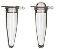 Thermo Scientific 0.2ml PCR Tubes - Thermo Fisher Scientific - Life Sciences