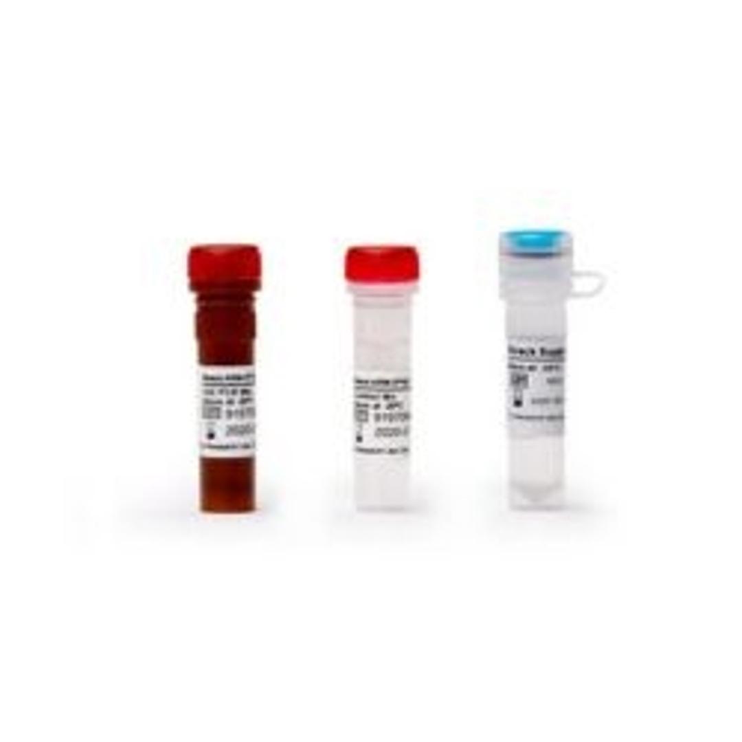 ARM-D® Kit, TEM/SHV/GES - Streck - Life Sciences