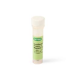 SureBeads™ Protein G Magnetic Beads, 1 ml - Bio-Rad - Life Sciences