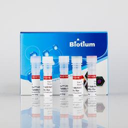 Live-or-Dye™ Fixable Viability Staining Kits - Biotium - Life Sciences