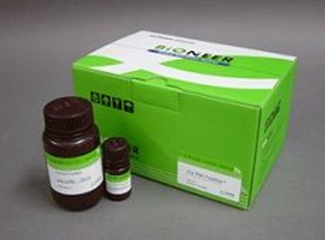 Viral RNA PrepMate™; RNA virus (HCV), tissues, serum, cultured cells, leukocytes, 100 extractions - Bioneer - Life Sciences