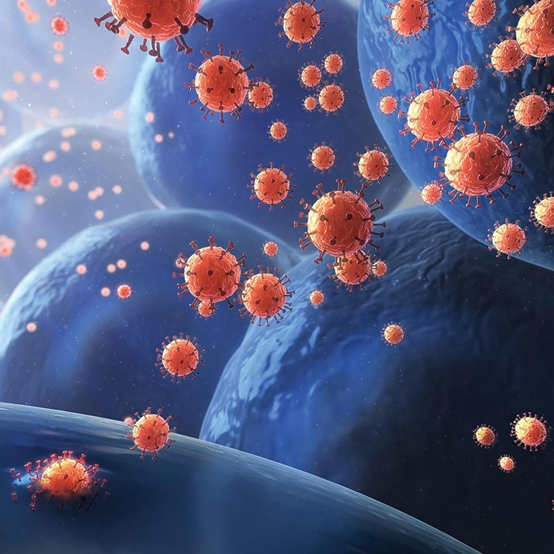 Lentiviral Vector Production Solutions - Thermo Fisher Scientific - Life Sciences