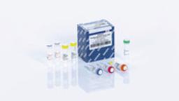 QIAGEN OneStep Ahead RT-PCR Kit (50) - QIAGEN