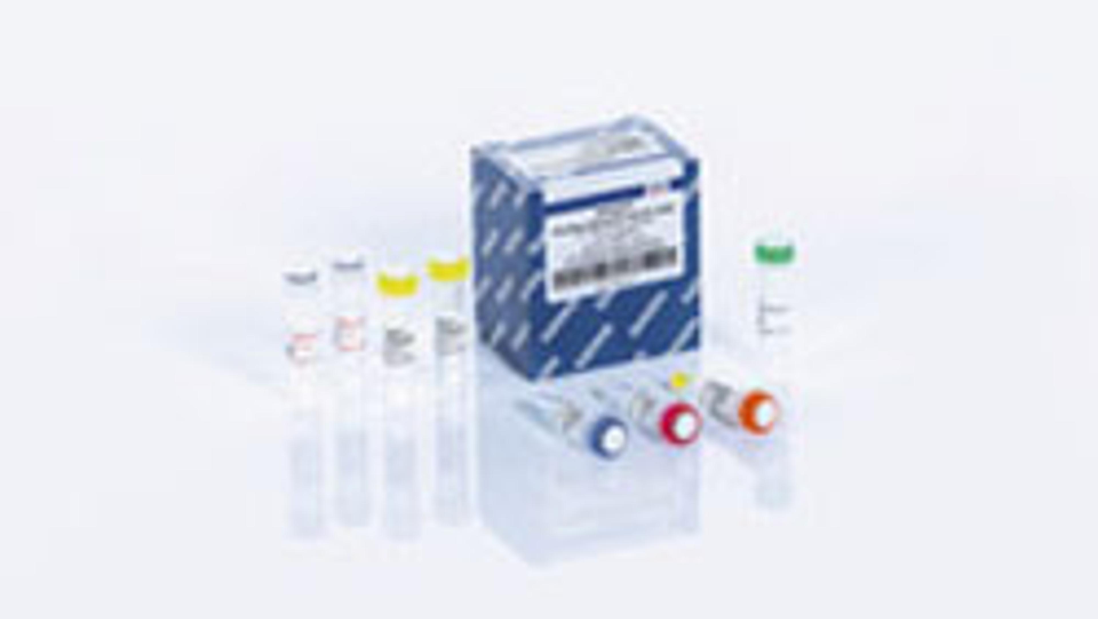 QIAGEN OneStep Ahead RT-PCR Kit (50) - QIAGEN