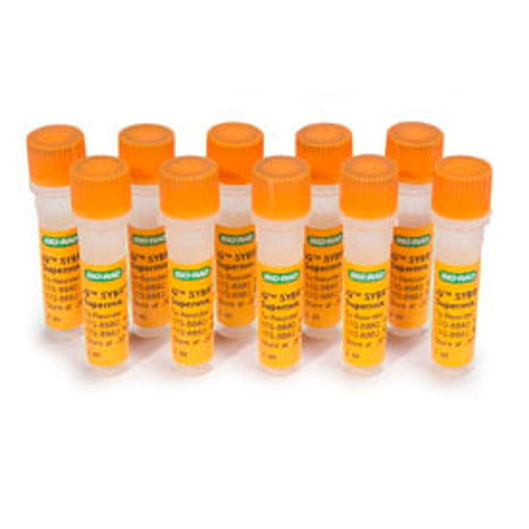 iQ™ SYBR® Green Supermix, 500 x 50 µl rxns, 12.5 ml (10 x 1.25 ml) - Bio-Rad - Life Sciences