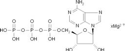 Adenosine 5′-triphosphate magnesium salt - Merck KGaA, Darmstadt, Germany - Life Sciences
