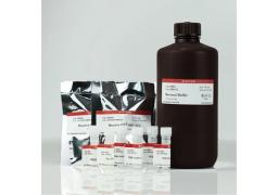 VersaBlot™ Total Protein Normalization Kits - Biotium - Life Sciences