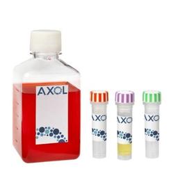 axoCells™ Cortical Neuron Media, Supplement and Coating kit - Axol Bioscience - Life Sciences