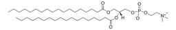Avanti® Polar Lipids 18:0 PC (DSPC) - Merck KGaA, Darmstadt, Germany - Drug discovery > Drug Manufacturing