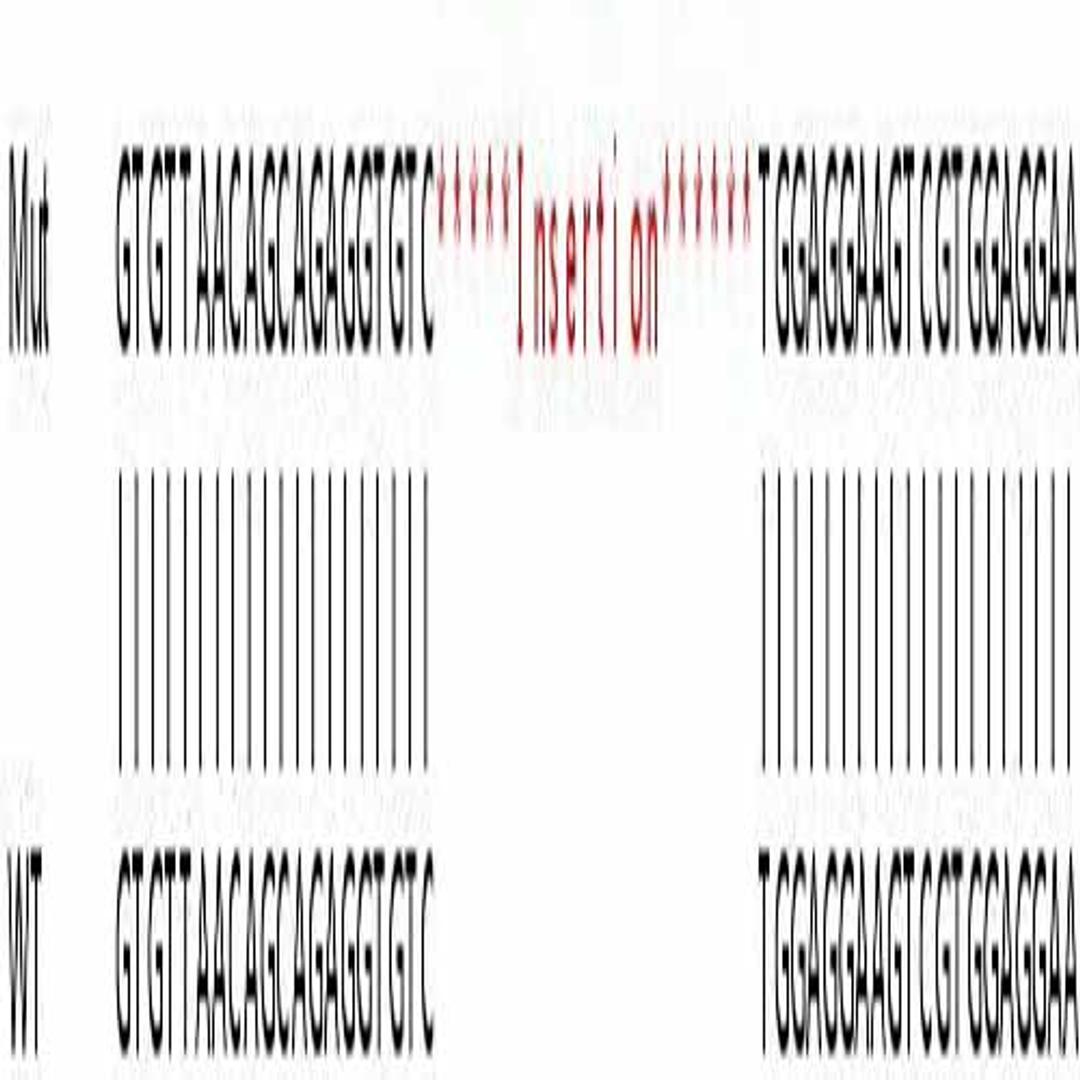 Human SORT1 (Sortilin/NT3) knockout HeLa cell line - Abcam plc - Life Sciences