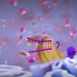 MISSION® shRNA Clones - Merck - Life Sciences