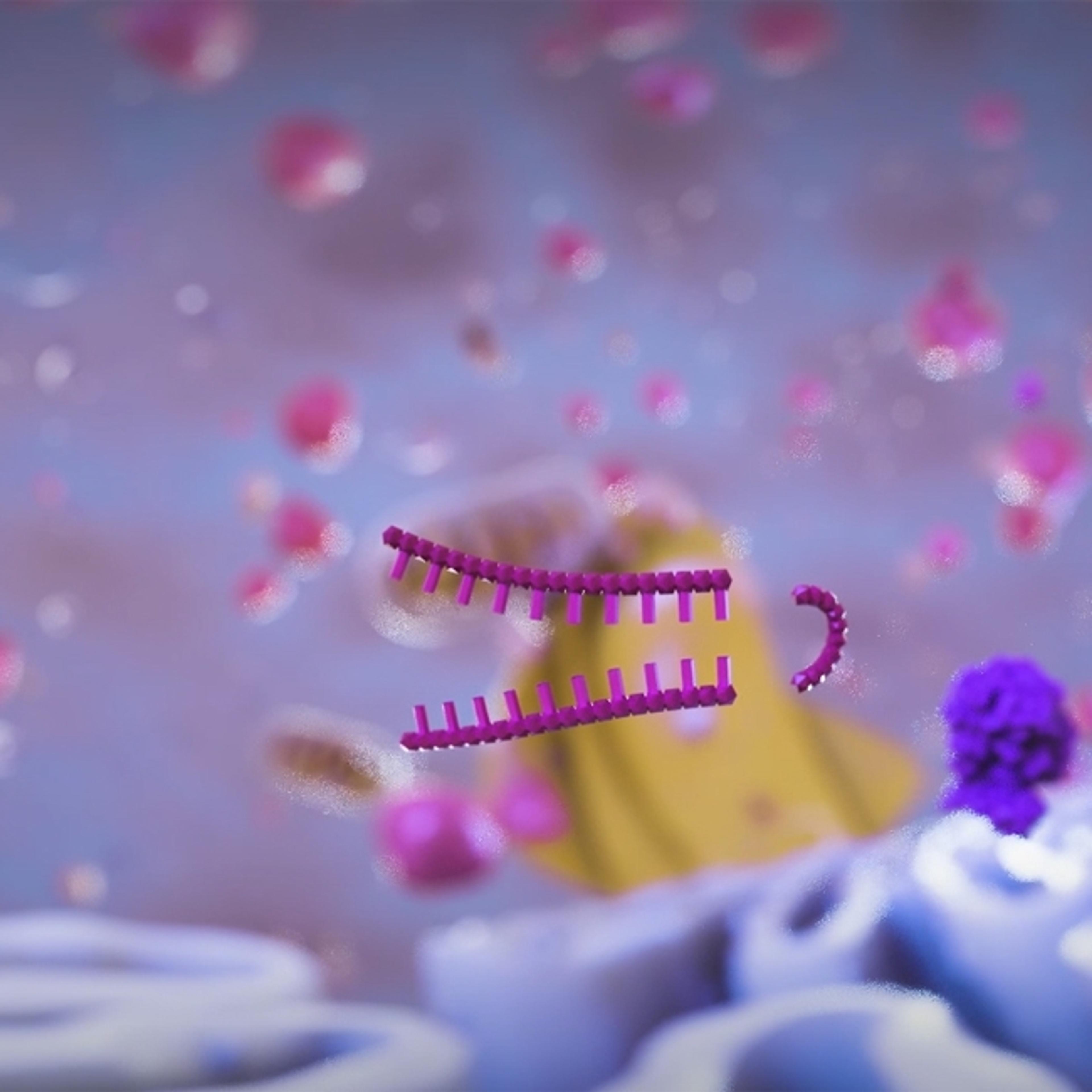 MISSION® shRNA Clones - Merck - Life Sciences