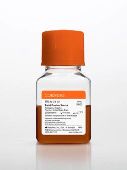 Corning® Fetal Bovine Serum, 50 mL, Premium, United States Origin  (Tetracycline Negative) - Corning Life Sciences