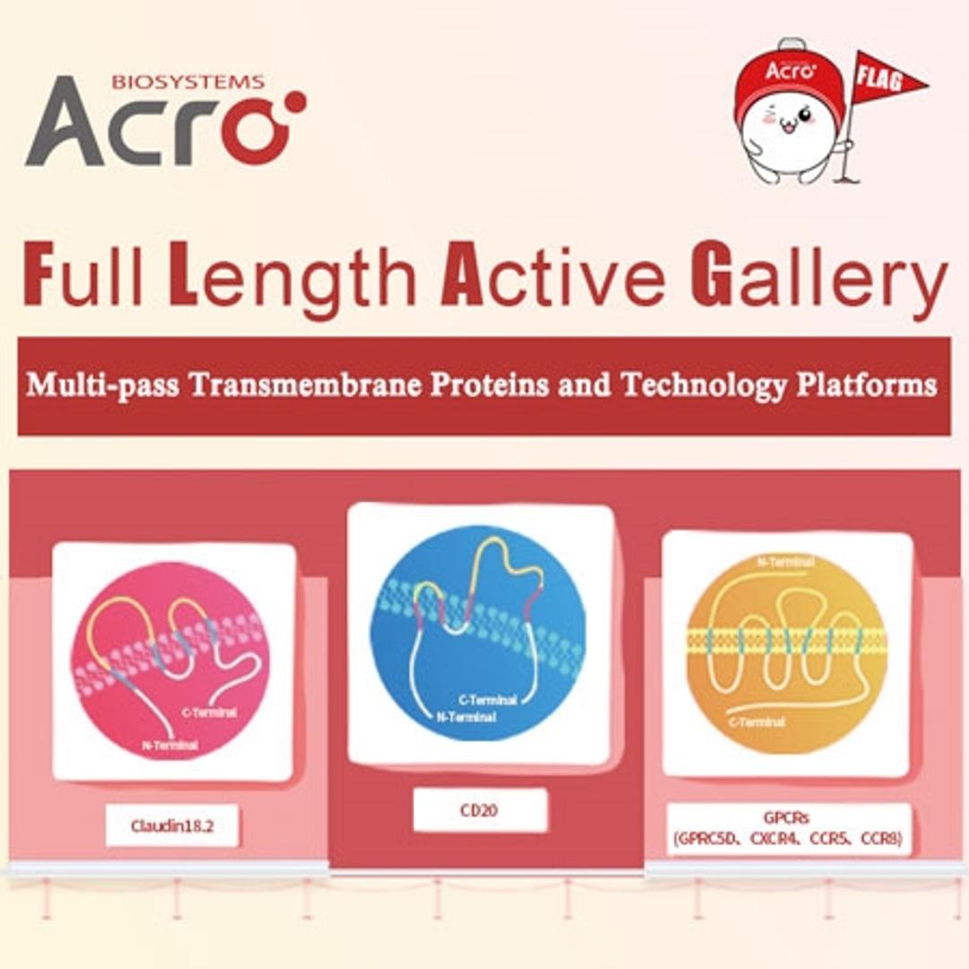 Full-length Transmembrane Proteins - ACROBiosystems - Life Sciences