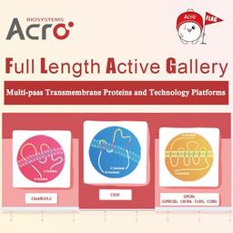 Full-length Transmembrane Proteins - ACROBiosystems - Life Sciences