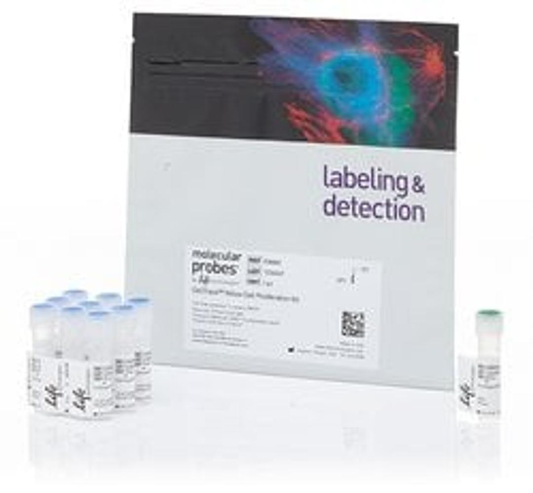 Invitrogen™ CellTrace™ Yellow Cell Proliferation Kit - Thermo Fisher Scientific - Life Sciences