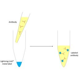 Lightning-Link Metal Labeling Kits - Expedeon - Clinical Diagnostics