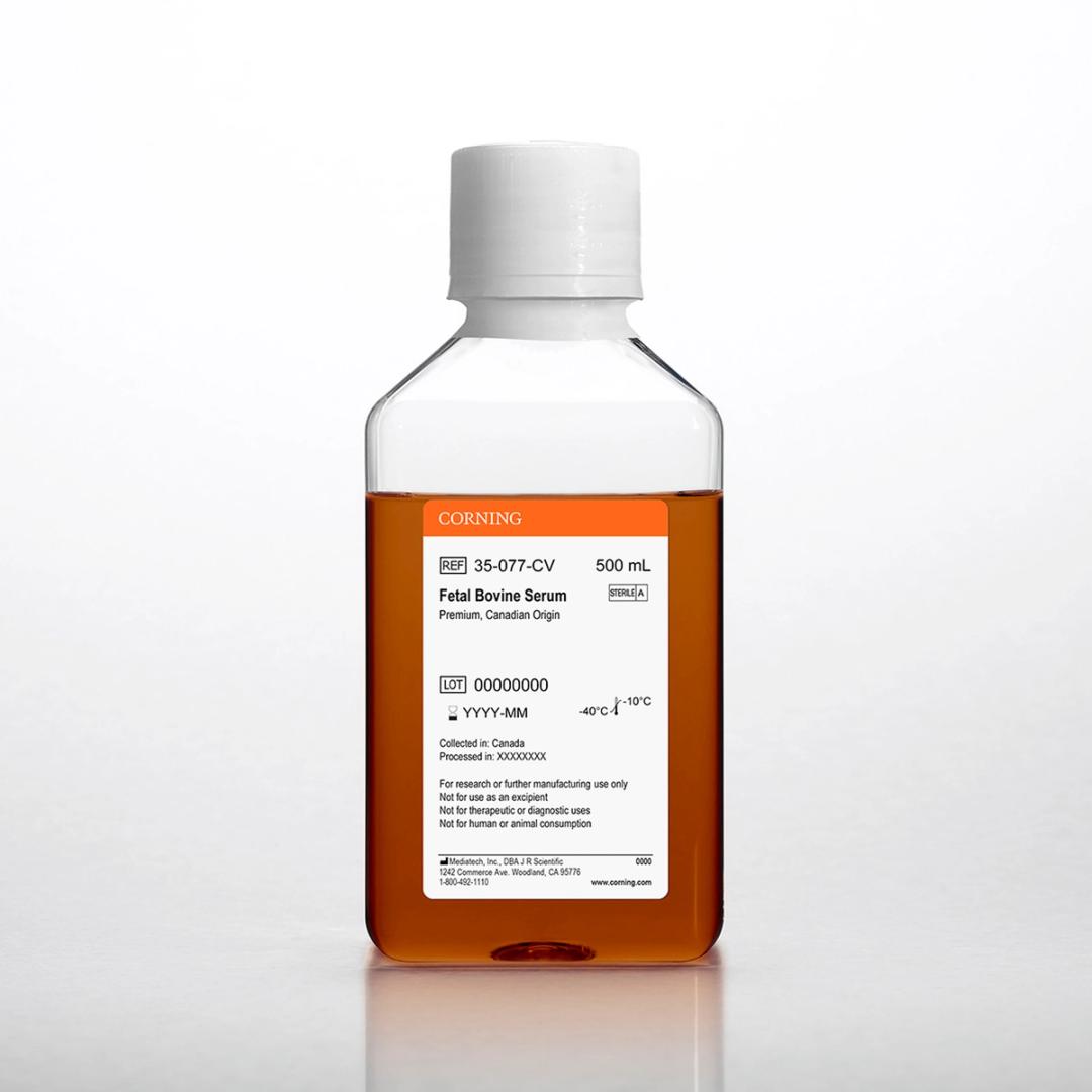 Corning® Fetal Bovine Serum, 500 mL, Regular, Canadian Origin - Corning Life Sciences - Life Sciences