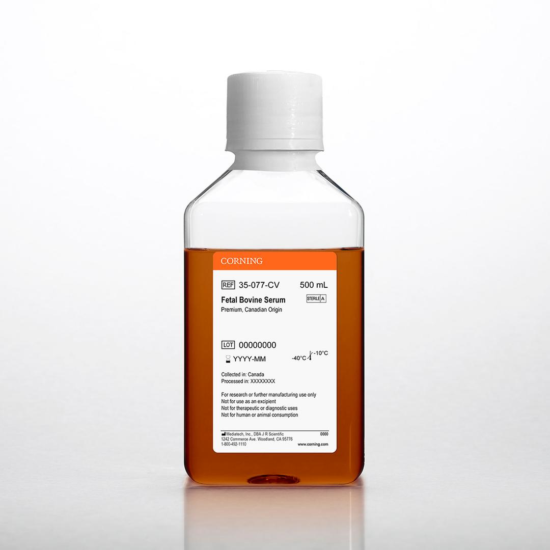 Corning® Fetal Bovine Serum, 500 mL, Regular, Canadian Origin - Corning Life Sciences - Life Sciences