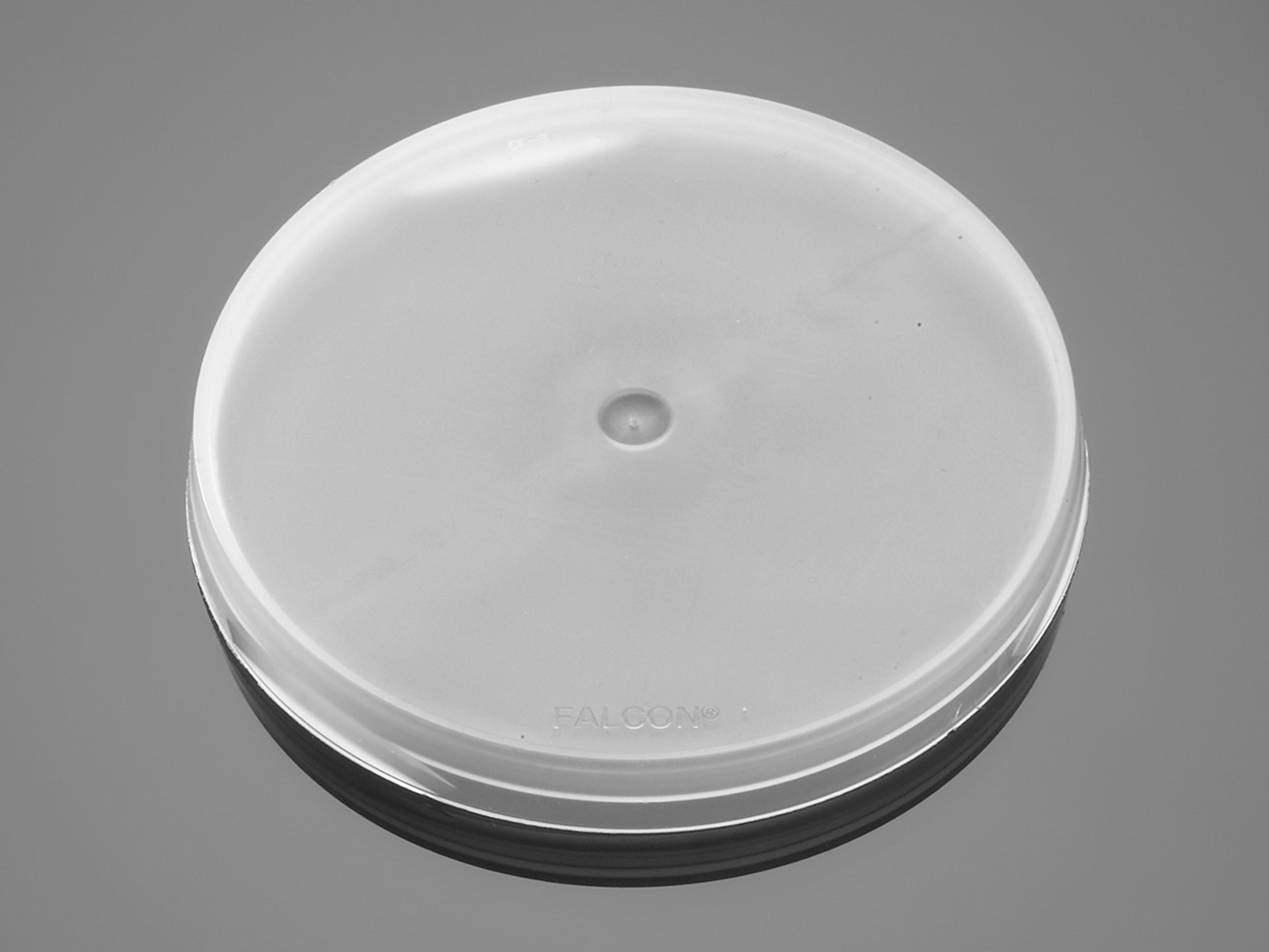 Lid for Falcon® Sterile Sample Containers, 4.5oz or 8oz (110 mL or 220 mL), Sterile, 20/Bag, 500/Case - Corning Life Sciences - General Lab