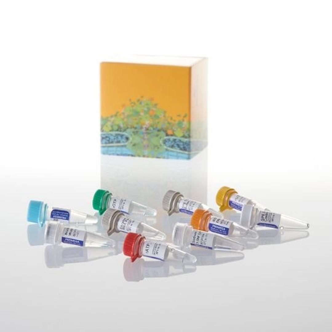 RiboMAX™ Large Scale RNA Production Systems - Promega Corp. - Life Sciences